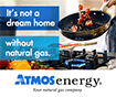 Web Banner: Dream Home - Cooking