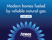 Web Banner: Flame - Modern Homes